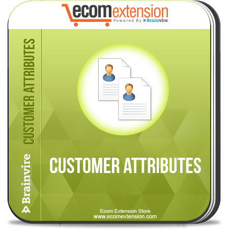 Customer Attribute Extension